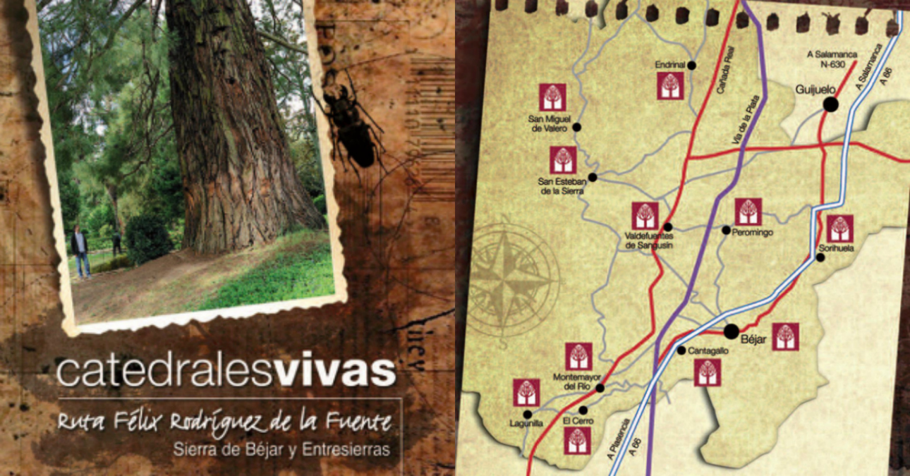 You are currently viewing Catedrales Vivas | Patrimonio Natural, Cultural y Artístico